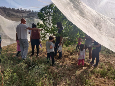 קטיף עצמי -2021-06-03-at-19.34.462