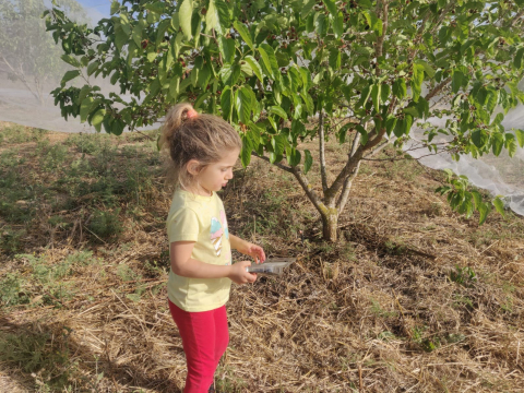 קטיף עצמי -2021-06-03-at-19.34.48