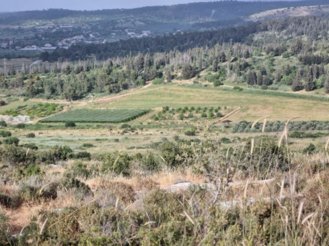 view from above 2022 נוף הבוסתן האורגני מההר